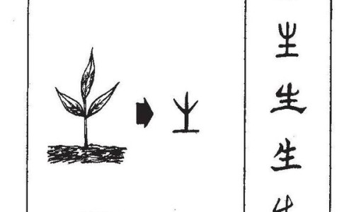 百蕊颗粒说明书及使用禁忌-百蕊颗粒香港九华图片网 - 百蕊颗粒的用法用量,百蕊颗粒价格6袋
